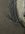 IMG_5876.jpeg