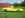 Chevy 72 Flatrack.jpg