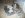 DSCN06031.jpg