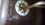 IMG_6018.jpeg