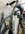 IMG_5742.jpeg