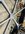 IMG_5776.jpeg