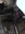 1700524728836.png 1700524728836.png