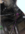 1700524800397.png 1700524800397.png