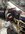 CD873902-9617-4901-BB54-78BACE2C7F16.jpeg