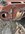 0CE07183-866B-46DC-B58C-14DF19B457B3.jpeg