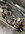 IMG_8563.jpeg