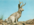 1700697502835.png