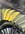 IMG_7541.jpeg
