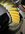 IMG_7543.jpeg