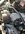 IMG_8244.jpeg