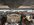 IMG_3920.jpeg