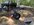 IMG_3620.jpeg