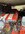 IMG_6742.jpeg IMG_6742.jpeg