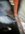 IMG_6735.jpeg IMG_6735.jpeg