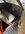 IMG_6733.jpeg IMG_6733.jpeg