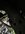IMG_6731.jpeg IMG_6731.jpeg