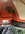 IMG_6730.jpeg IMG_6730.jpeg