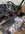 IMG_3931.jpeg
