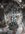 IMG_3935.jpeg