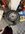IMG_7098.jpeg