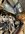 IMG_0224.jpeg