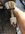 IMG_4036.jpeg