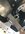 IMG_4037.jpeg