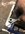 IMG_4040.jpeg