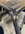IMG_1011.JPEG