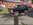 IMG_9586.JPEG
