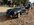 IMG_3111.jpeg