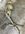 IMG_1685.jpeg