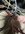 IMG_1417.jpeg