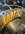 IMG_7600.jpeg