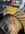 IMG_7598.jpeg