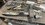 IMG_5656.jpeg