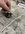 IMG_8880.jpeg