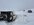 IMG_2736.jpeg