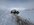 IMG_2741.jpeg