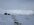 IMG_2764.jpeg