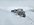 image000001.jpeg