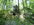 IMG_1474.jpeg