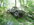 powerwagon ralley 2012 016.jpeg