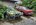 IMG_20211003_133439_178.jpg