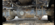 17A809B8-6E38-4F98-806A-AE88460D7CB3.png