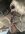 144DD9A9-B769-405C-9137-09D1A32DAE11.jpeg