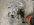 IMG_9158.jpeg