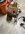 IMG_9160.jpeg