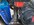 IMG_2217.JPEG